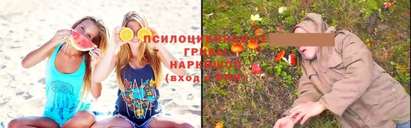 каннабис Магас