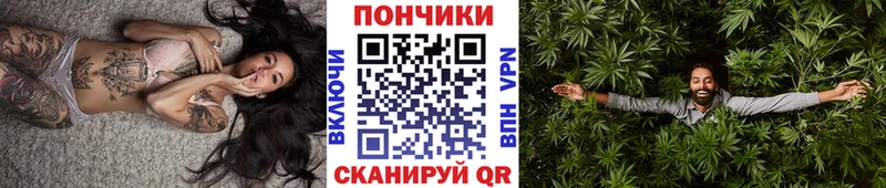 Бошки Шишки сатива Малмыж